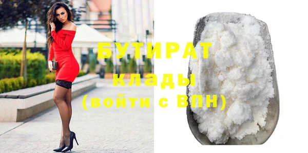 прущие грибы Михайлов