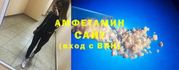 прущие грибы Михайлов