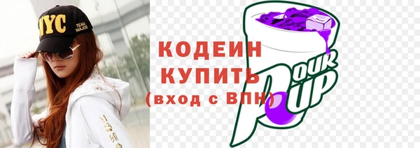 прущие грибы Михайлов