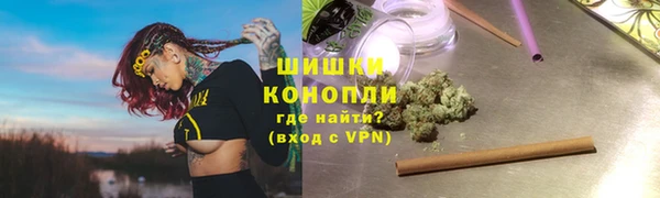 ГАЛЛЮЦИНОГЕННЫЕ ГРИБЫ Абаза
