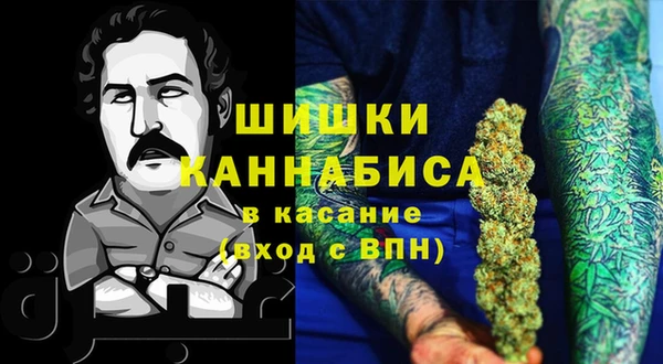 амф Калининец