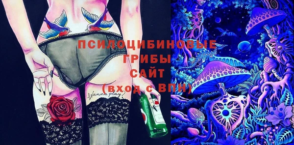 стафф Абинск